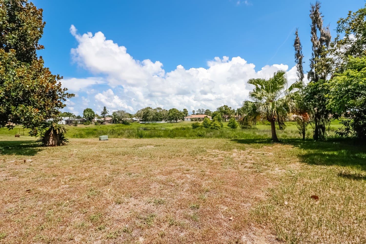 7317 Bramblewood Dr, Port Richey photo 20