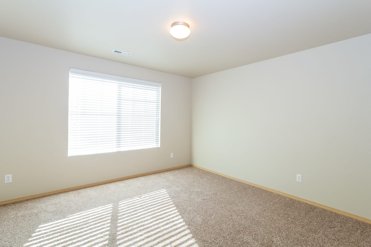 7325 178th Street Ct E, Puyallup photo 10