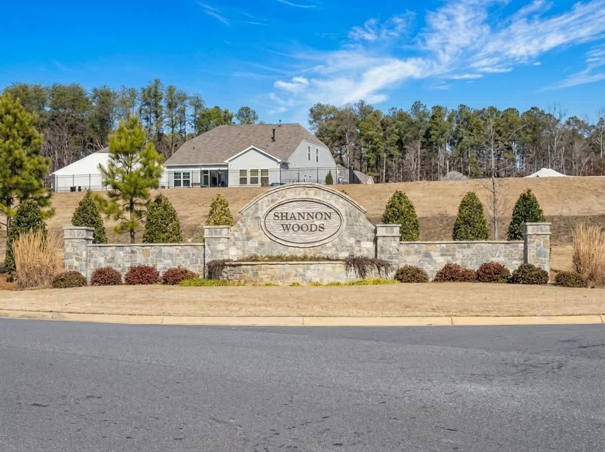 7334 Echoing Hills Lane, Maiden photo 17