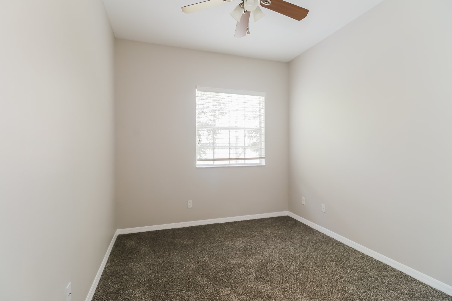 7571 Tamarind Ave, Tampa photo 9