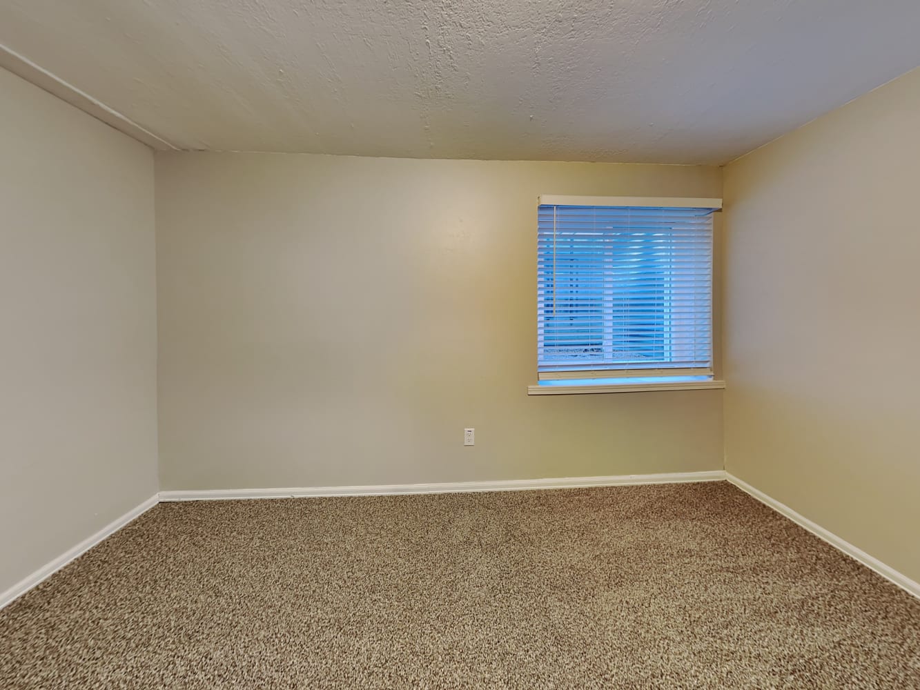 7740 Lindsey Dr, Colorado Springs photo 9