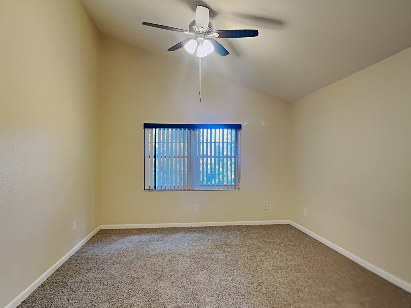 7807 Capwood Ave, Temple Terrace photo 10