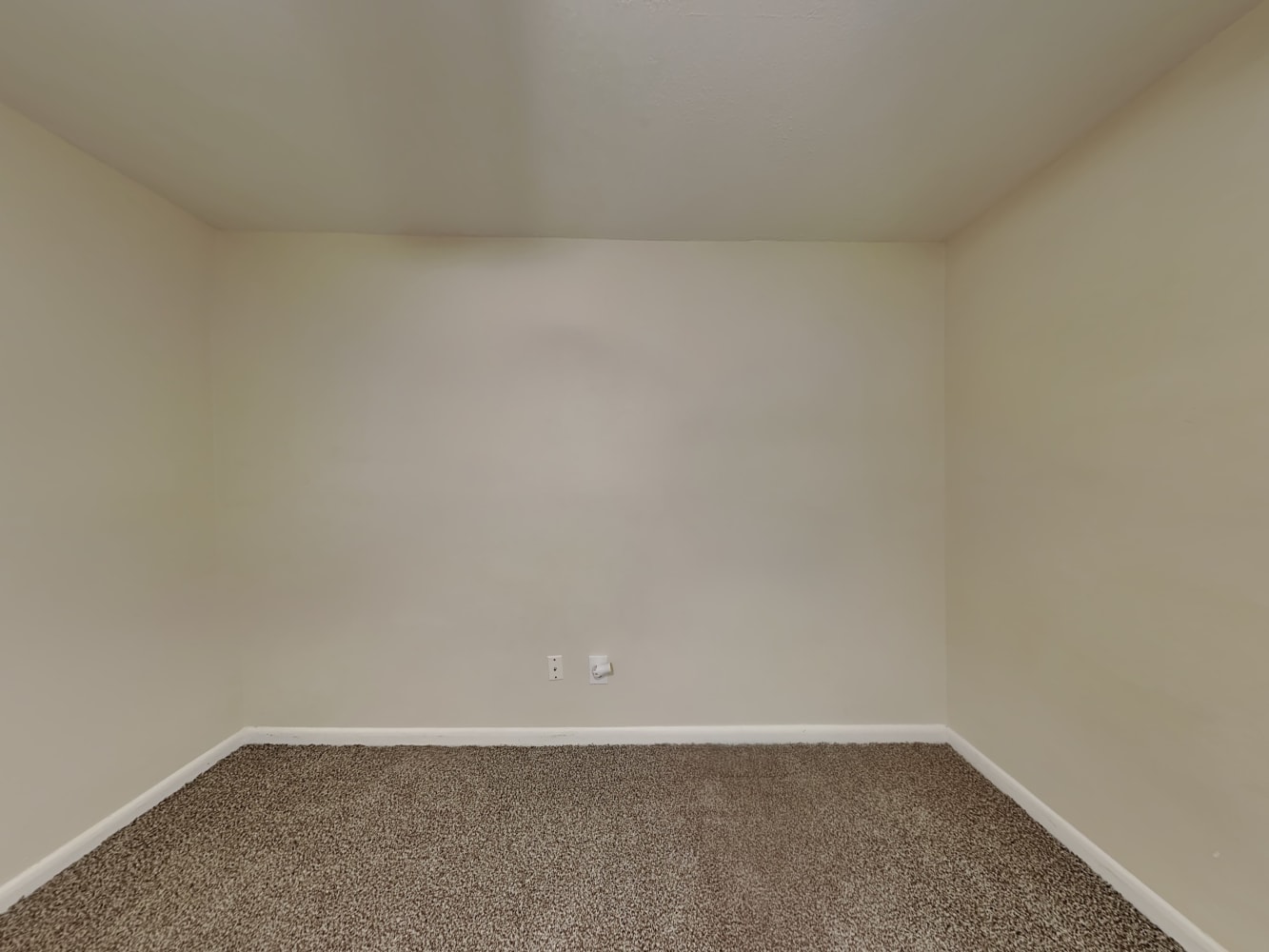 7807 Capwood Ave, Temple Terrace photo 11