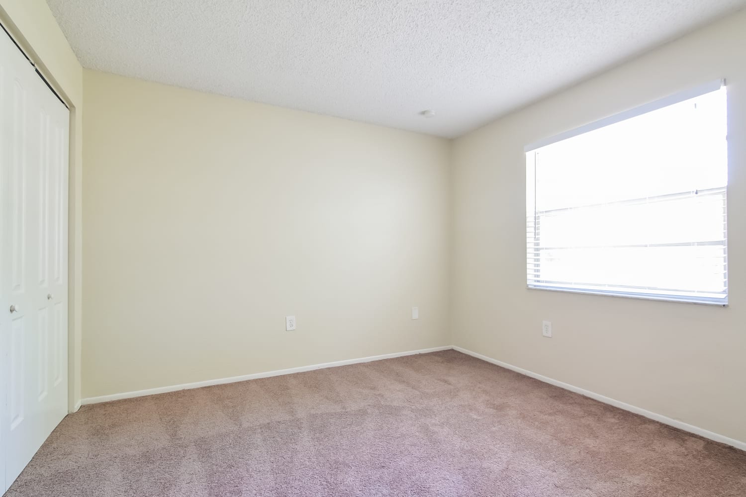 7839 Putnam Cir, New Port Richey photo 15