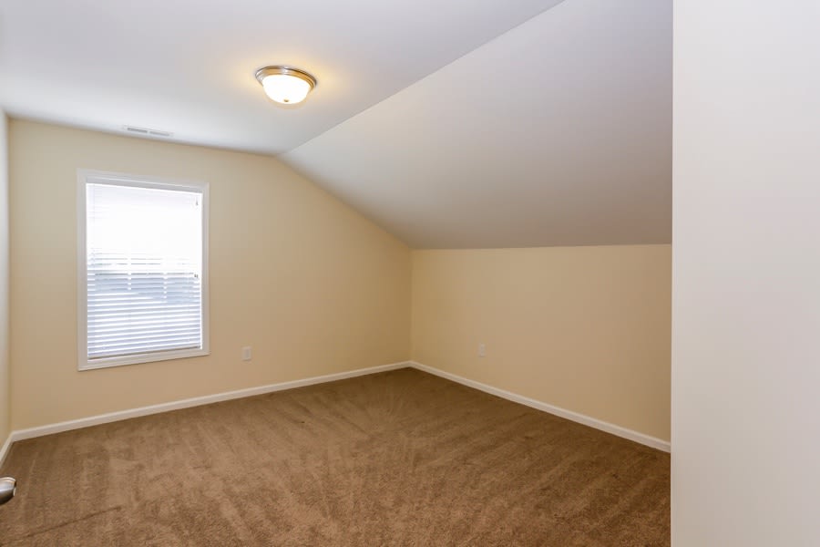 7888 Smith Pond Dr, Denver photo 9