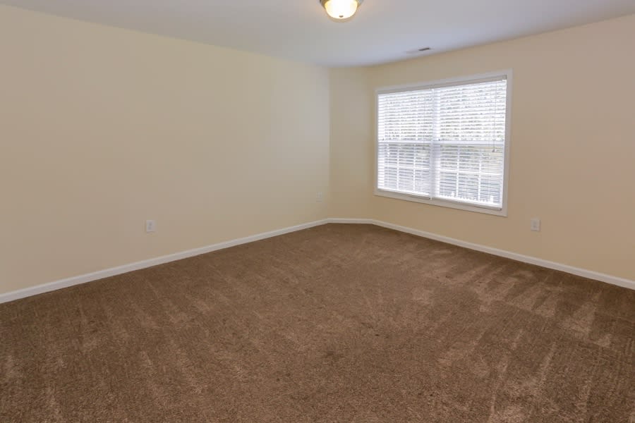 7888 Smith Pond Dr, Denver photo 7