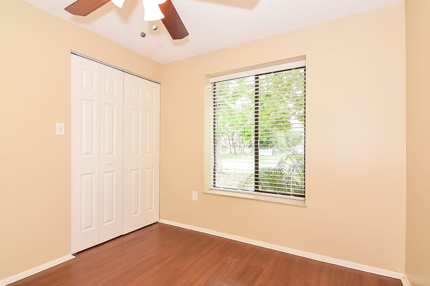 7907 Osteen Rd, New Port Richey photo 11