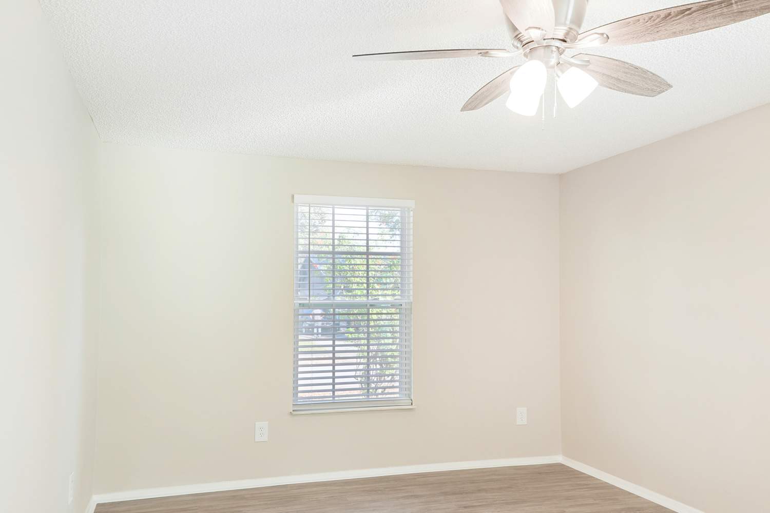 8033 Banister Ln, Port Richey photo 15