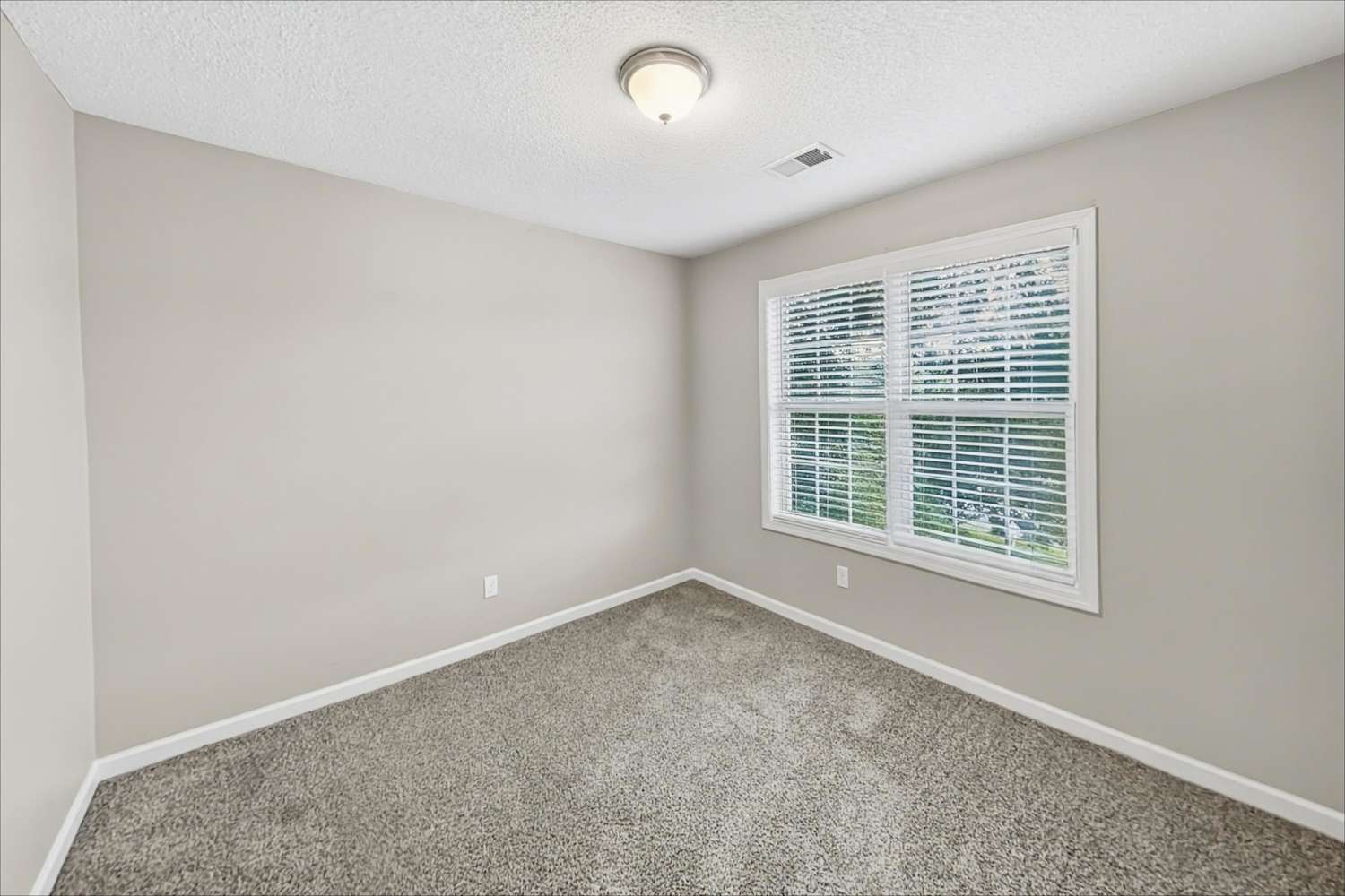 8220 River Mill Ct, Ball Ground photo 14