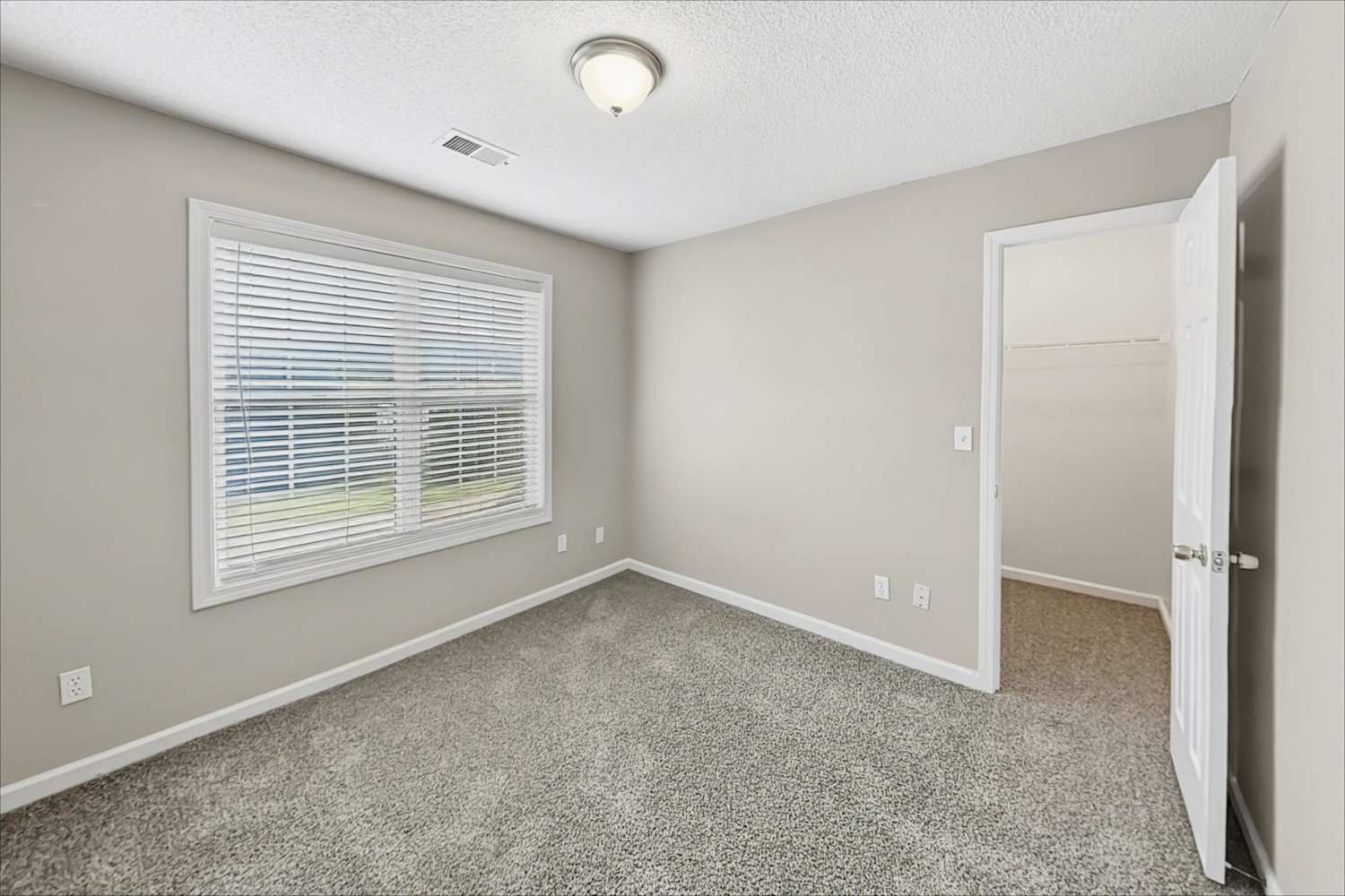 8220 River Mill Ct, Ball Ground photo 15