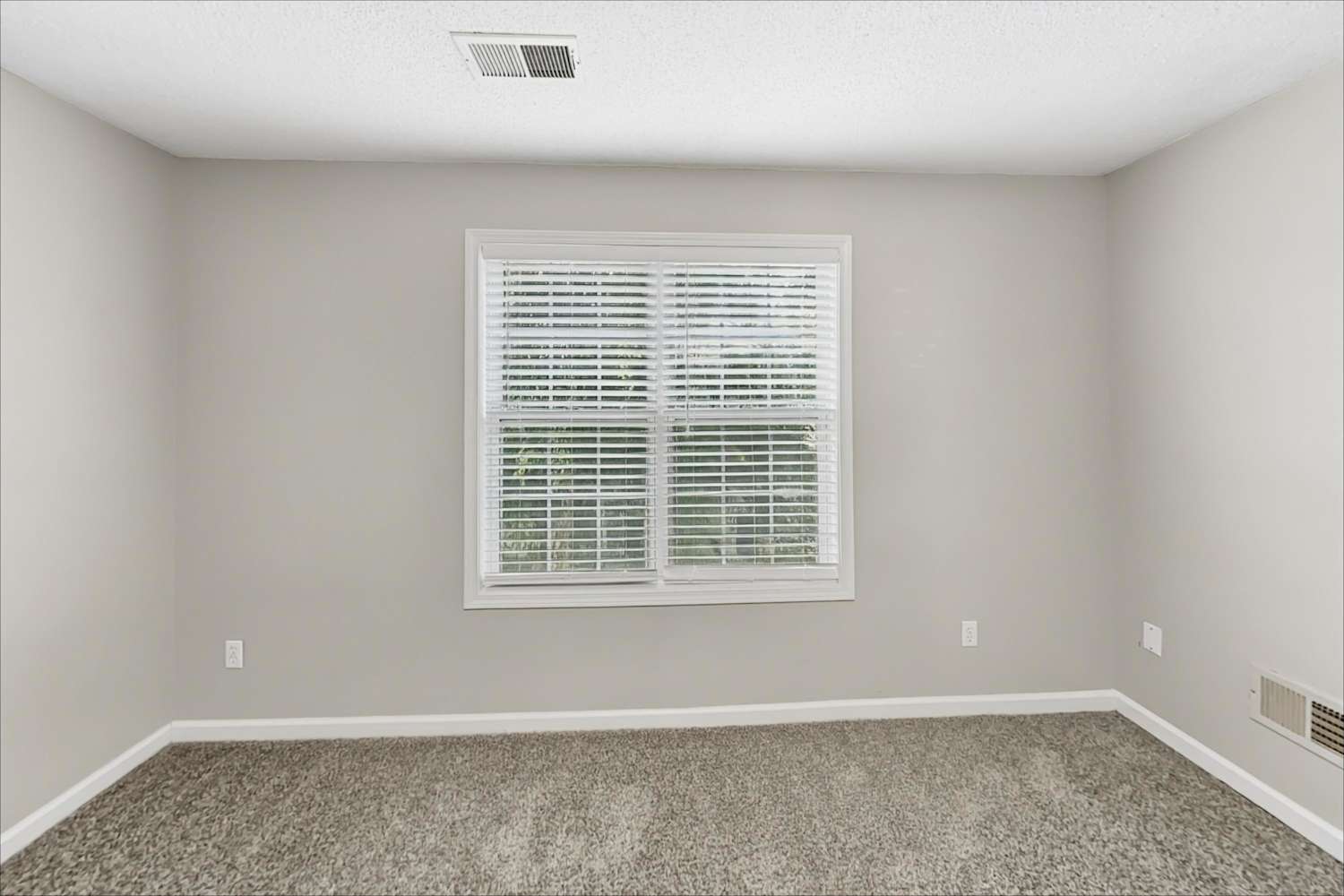 8220 River Mill Ct, Ball Ground photo 17