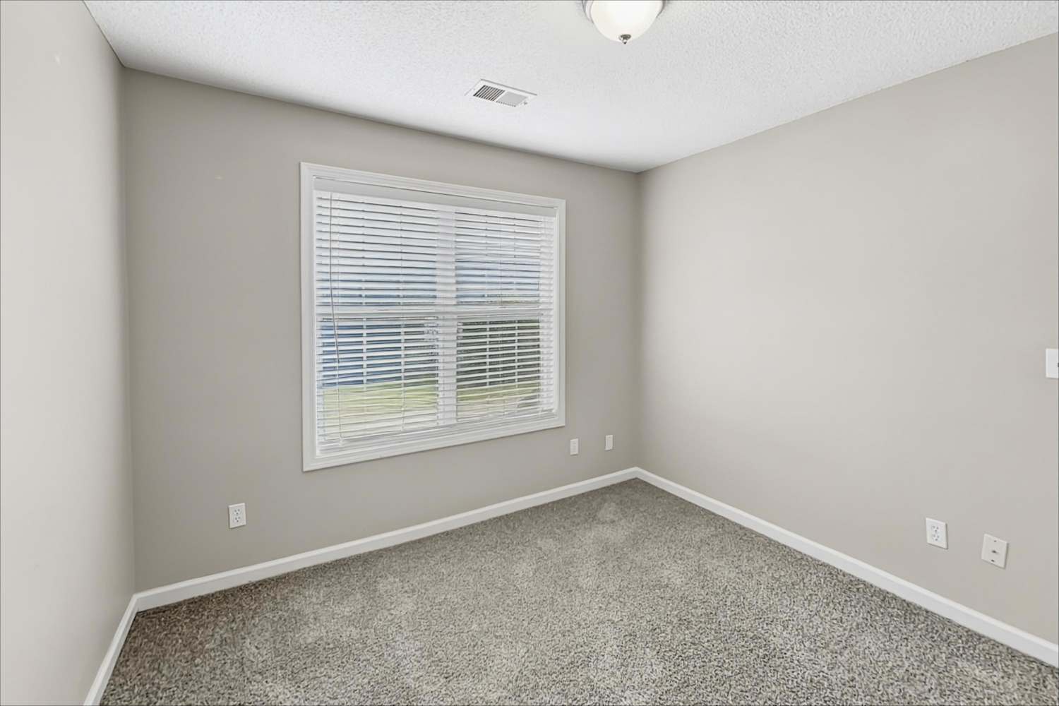 8220 River Mill Ct, Ball Ground photo 16