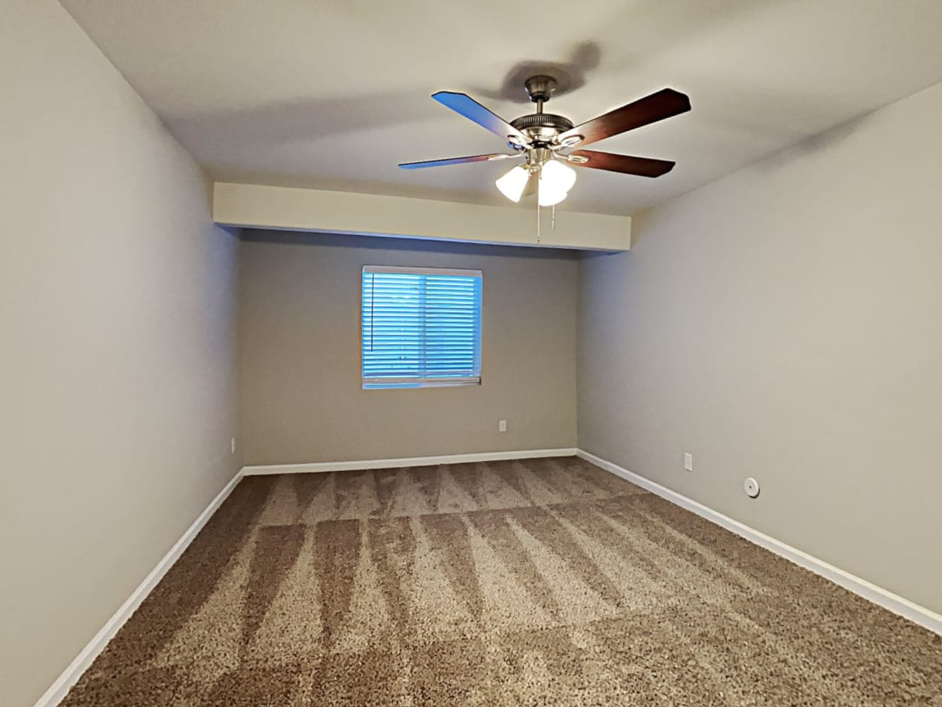 8334 Syrabi Pl, Colorado Springs photo 11