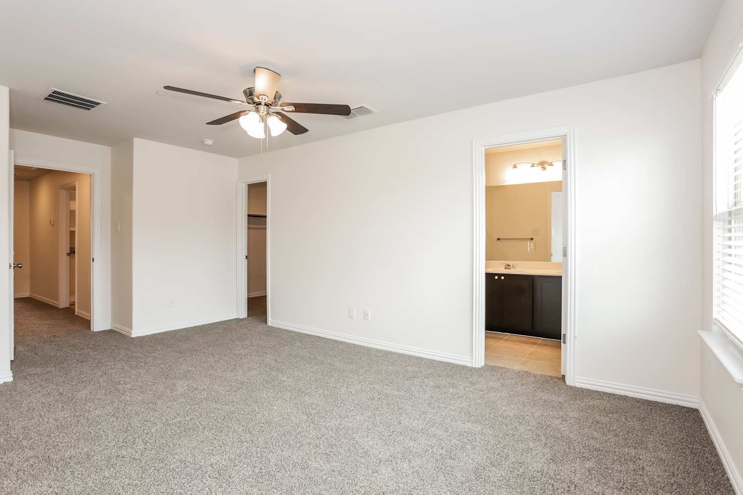 836 Bonnet Trl, Arlington photo 12