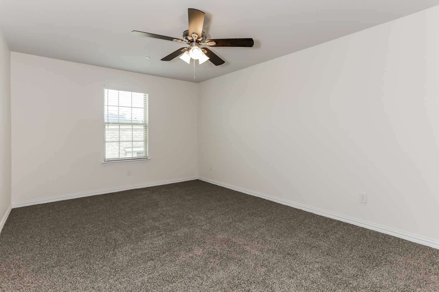 836 Bonnet Trl, Arlington photo 14