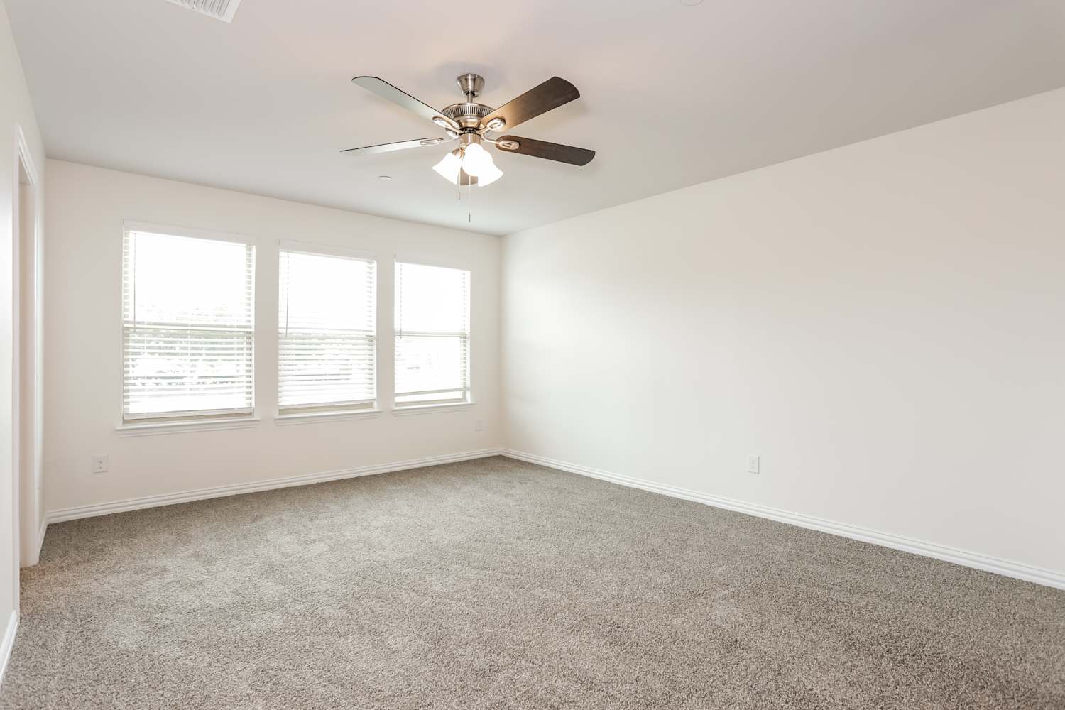 836 Bonnet Trl, Arlington photo 10