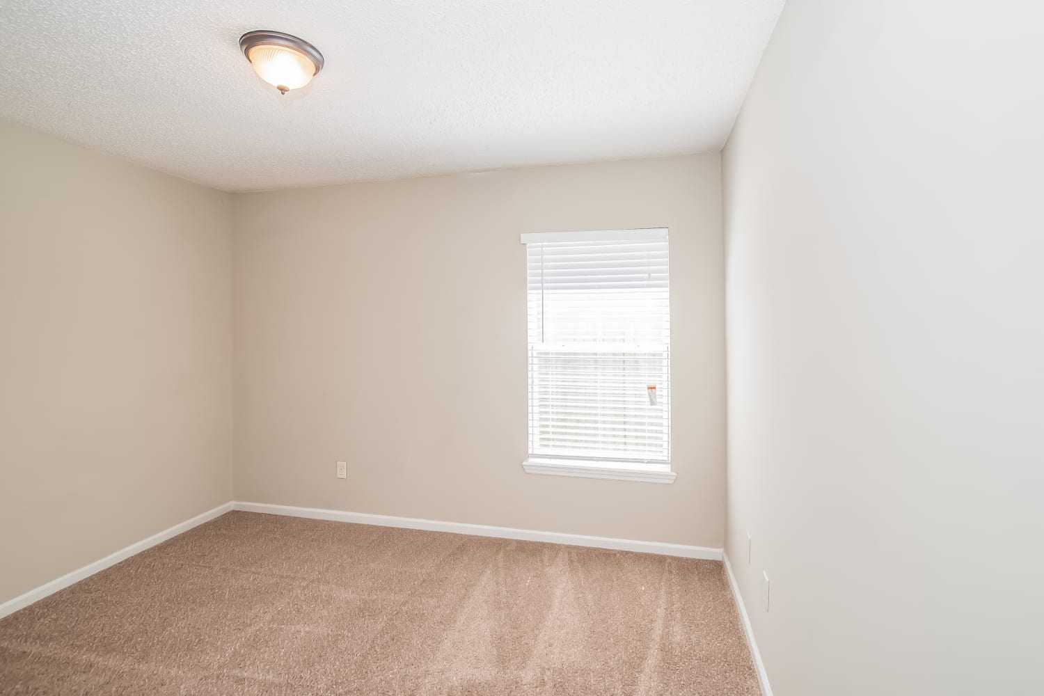 8386 Watermill Blvd, Jacksonville photo 17
