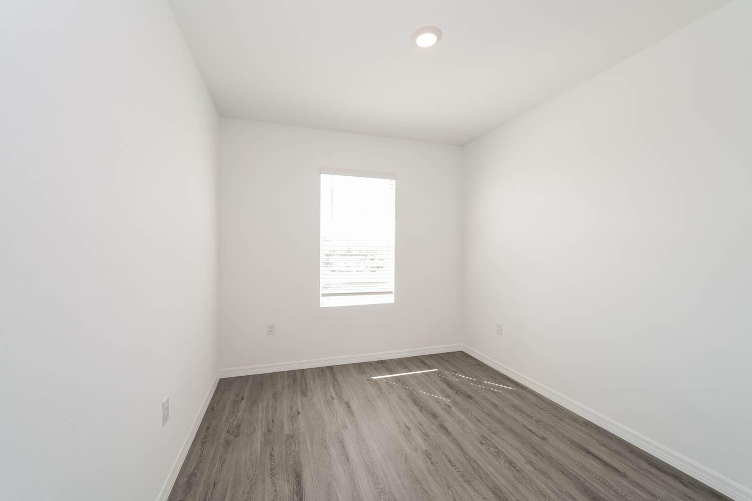 8457 Lofty Timber Way, Wesley Chapel photo 17