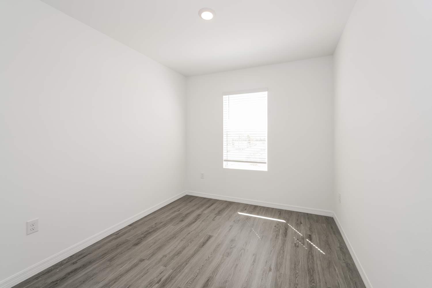 8471 Lofty Timber Way, Wesley Chapel photo 19