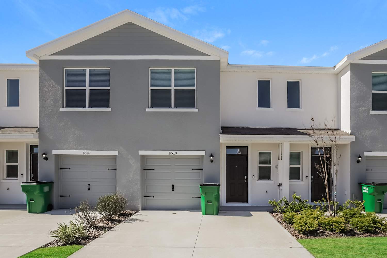 8513 Alpine Meadow Ln, Wesley Chapel photo 1