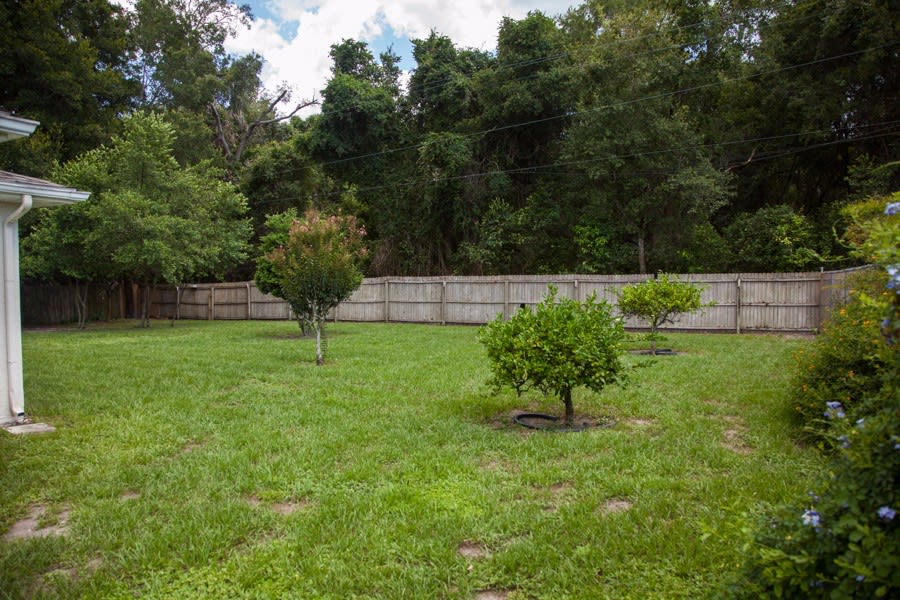 8546 Thrasher Ct, New Port Richey photo 20