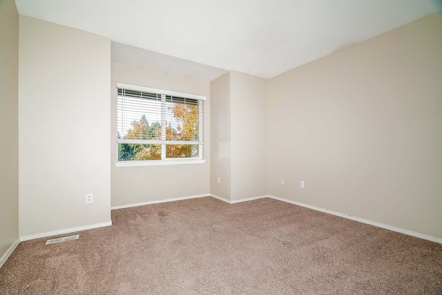 8602 126th Street Ct E, Puyallup photo 15
