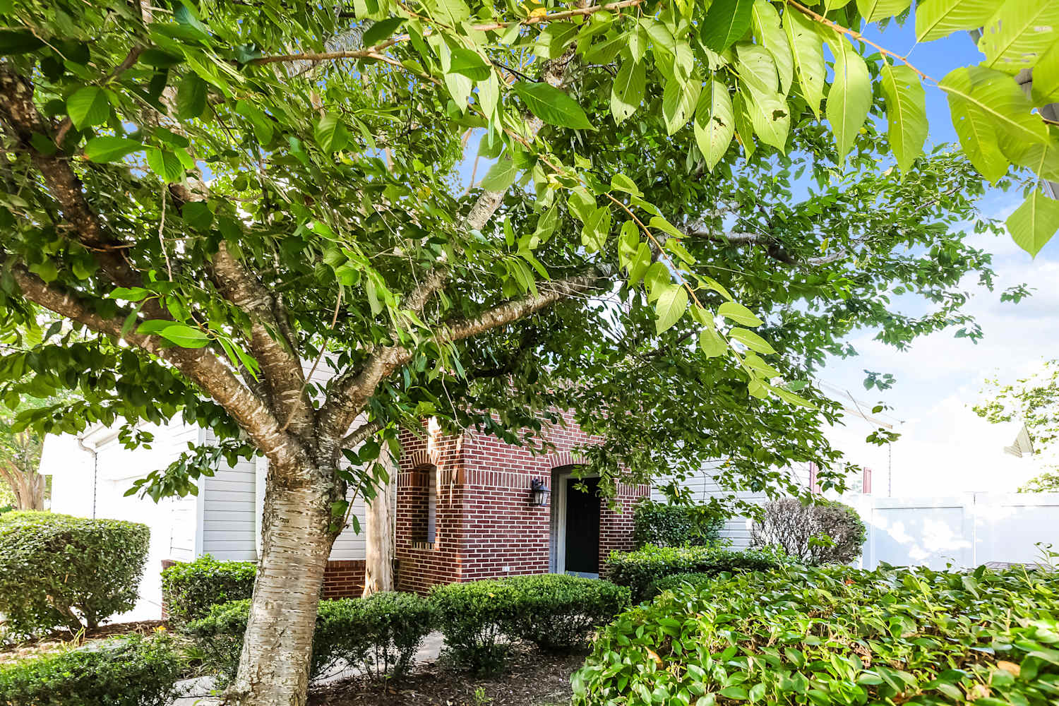 8611 Meadowmont View Dr, Charlotte photo 16