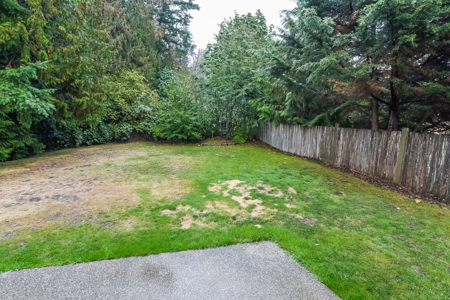 8629 76th Ave NE, Marysville photo 20