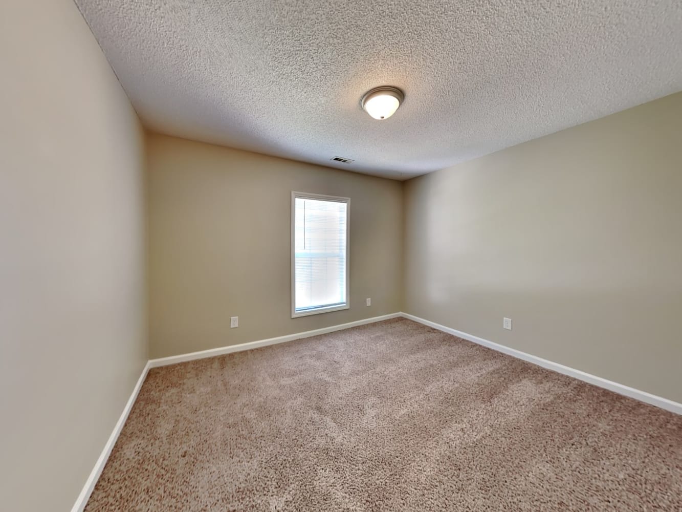 8709 Reindeer Moss Dr, Wake Forest photo 14