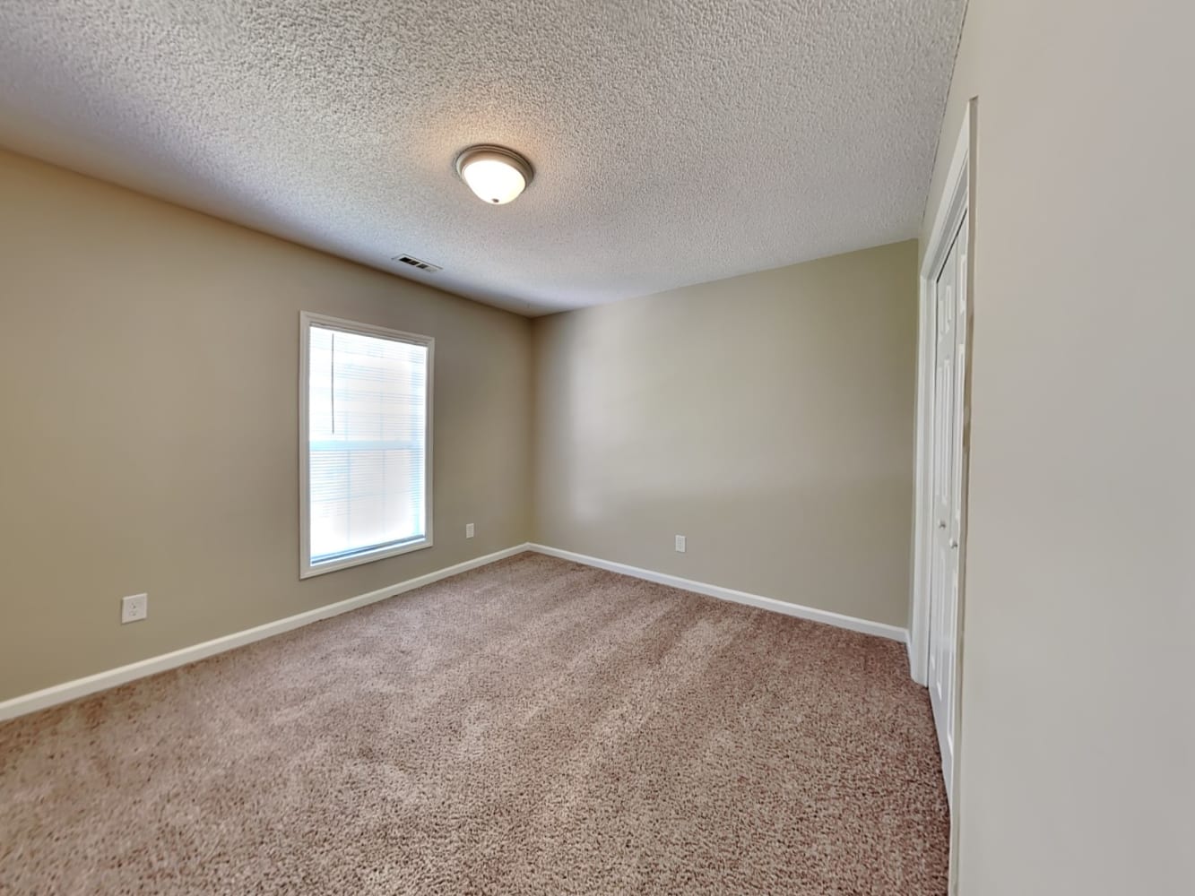 8709 Reindeer Moss Dr, Wake Forest photo 13