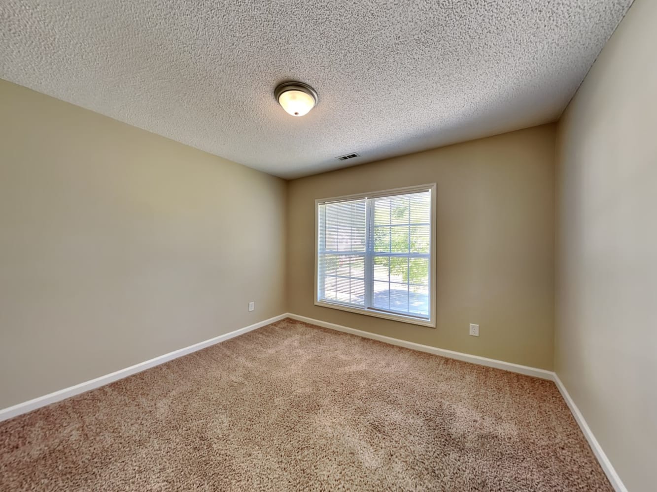 8709 Reindeer Moss Dr, Wake Forest photo 15