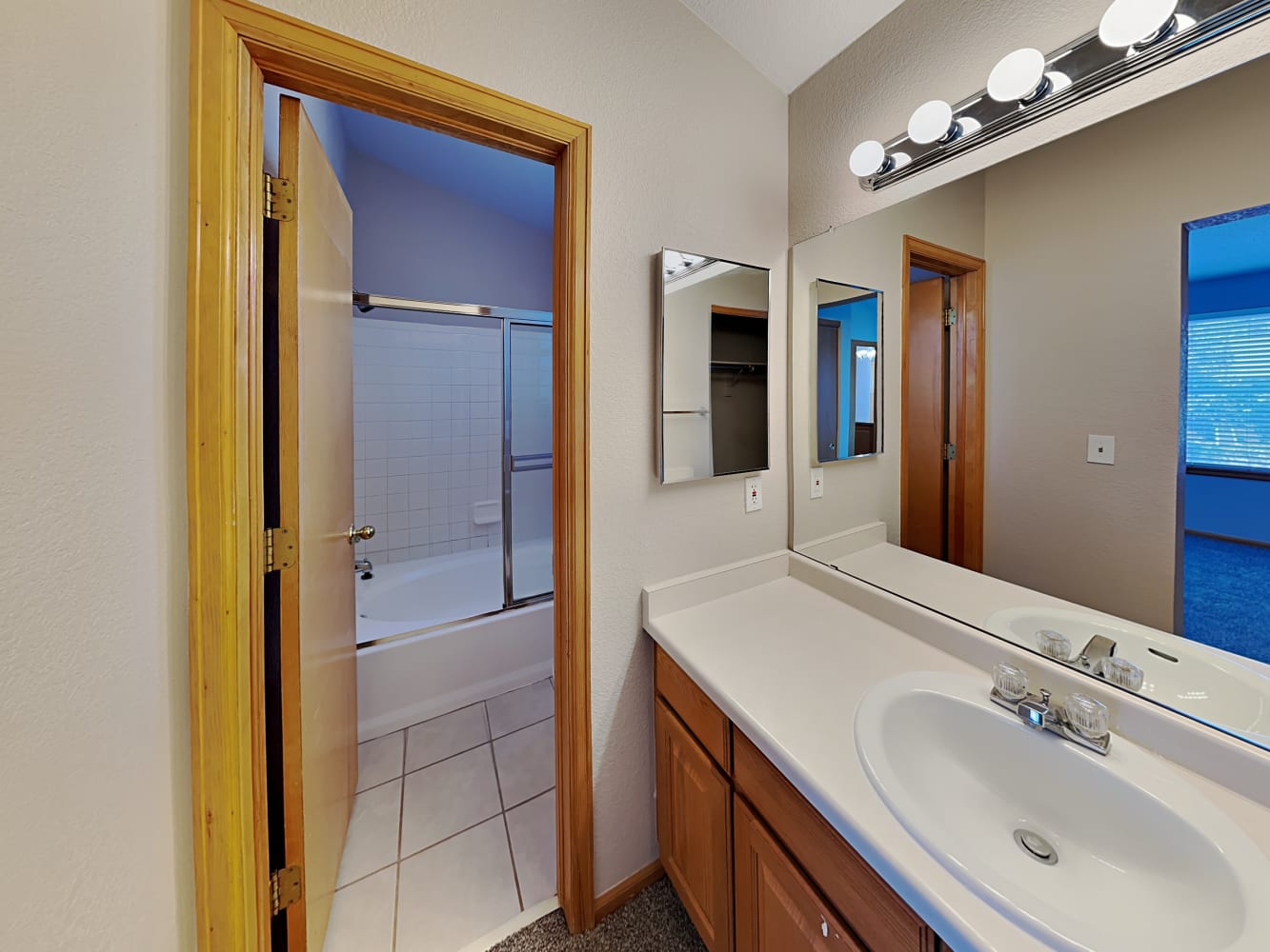 8736 Greengrass Way, Parker photo 14