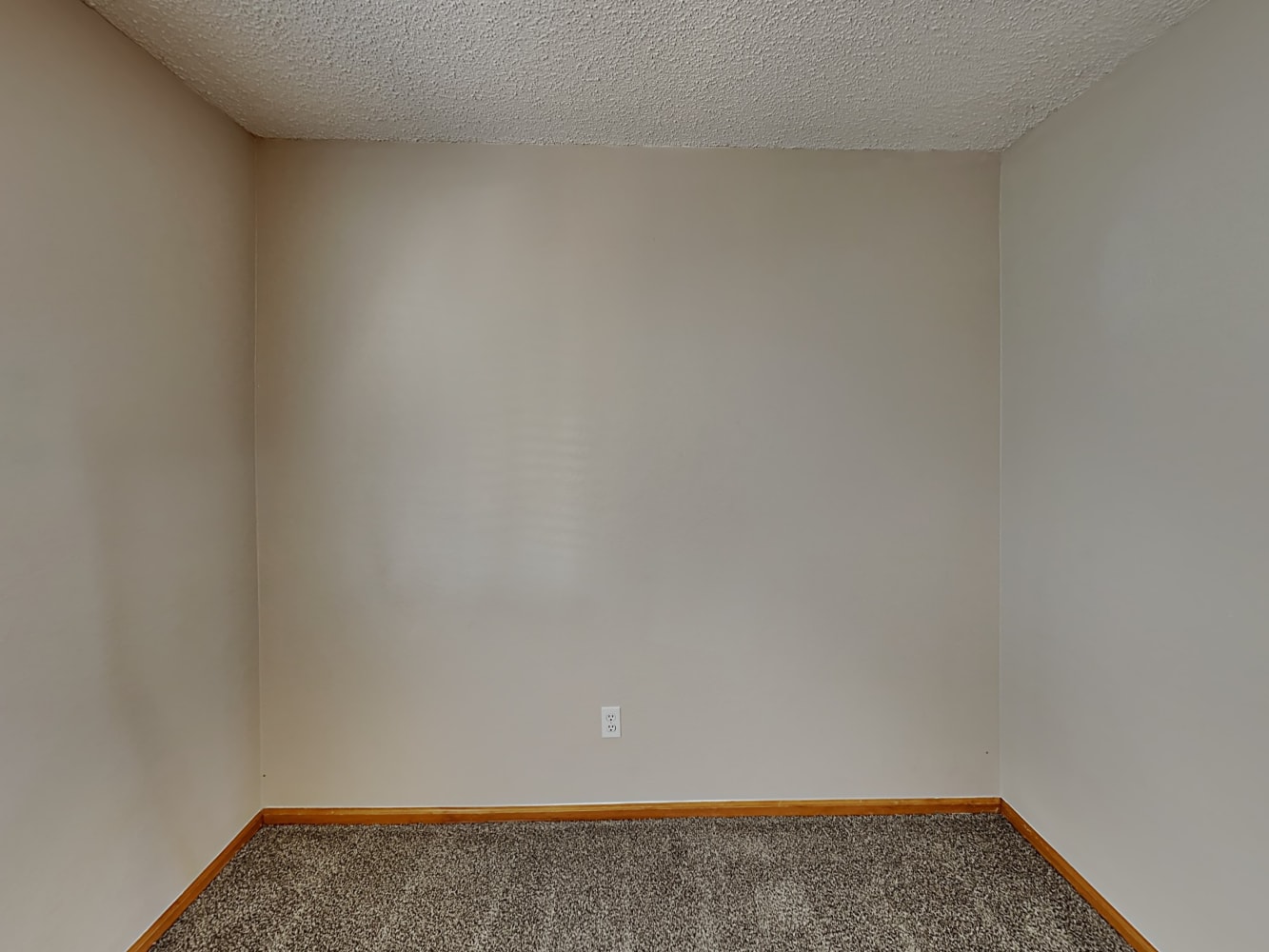 8736 Greengrass Way, Parker photo 12