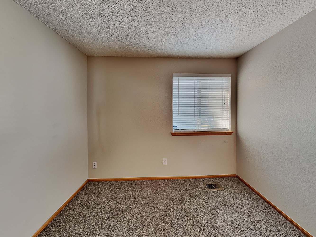 8736 Greengrass Way, Parker photo 11