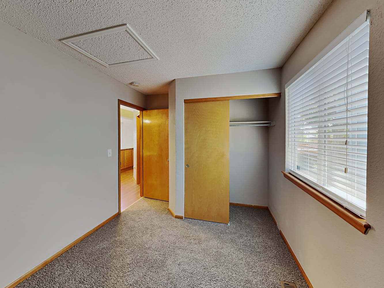 8736 Greengrass Way, Parker photo 13