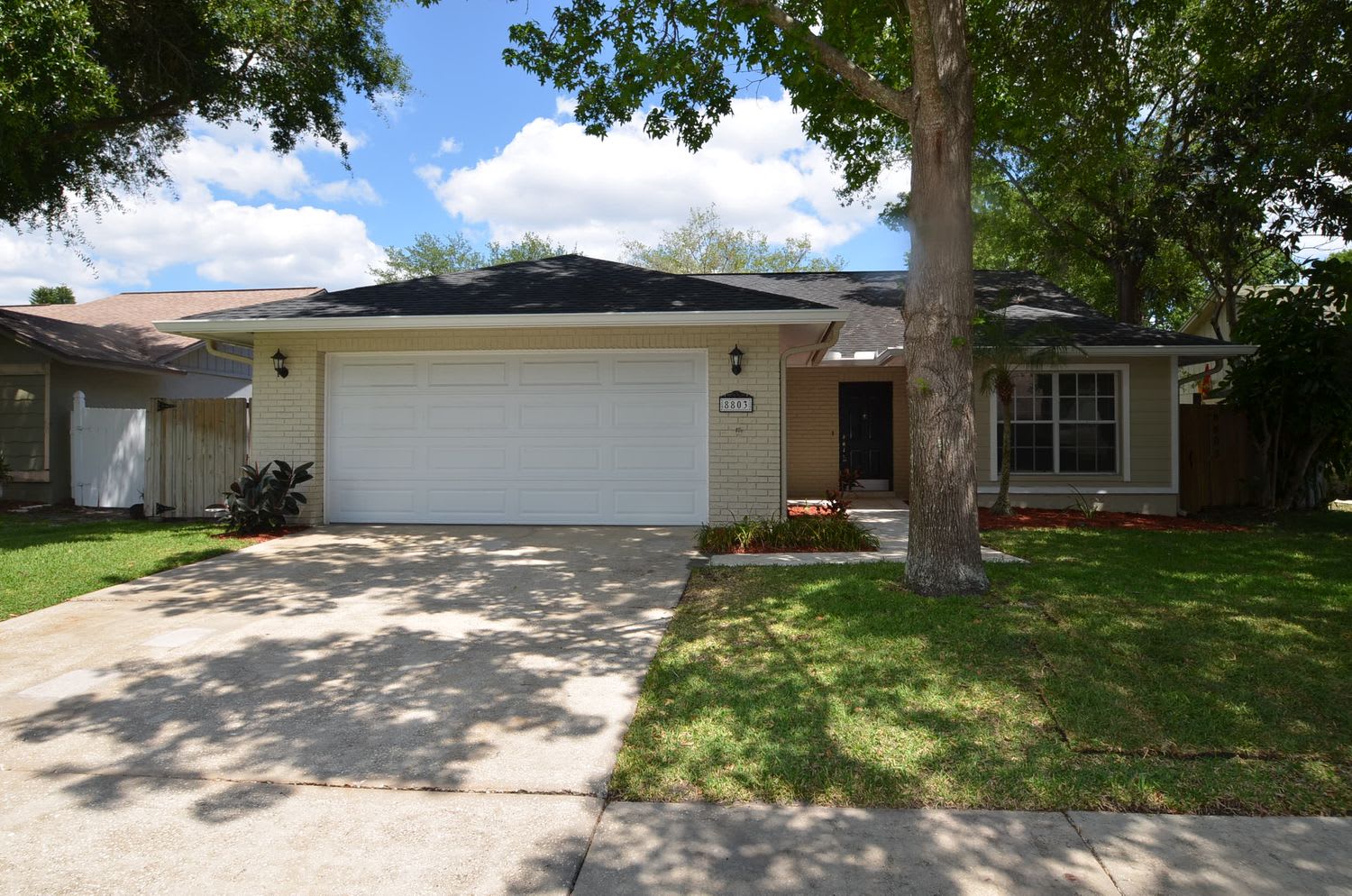 8803 Hampden Dr, Tampa photo 1