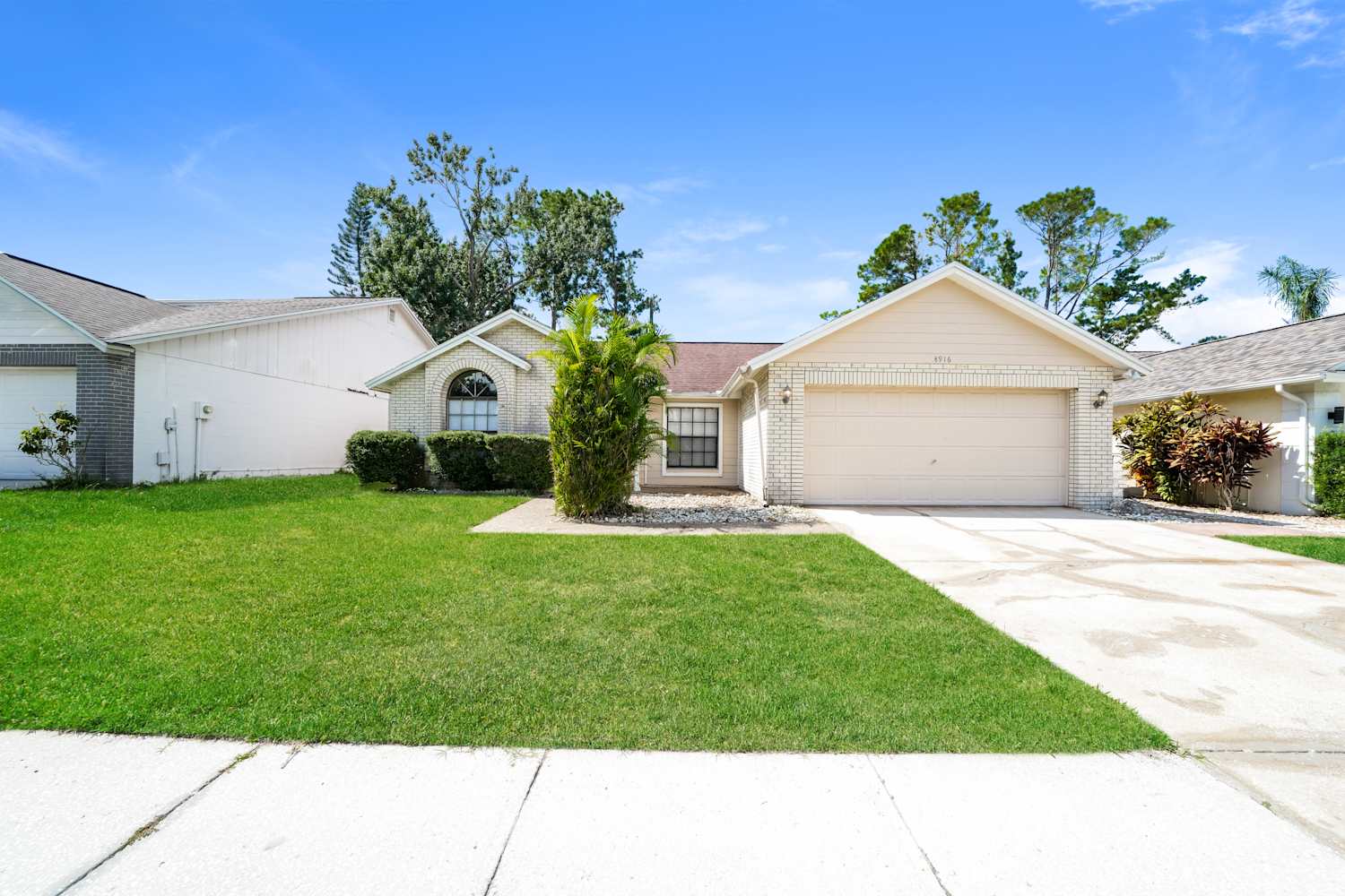 8916 Bayaud Dr, Tampa photo 1