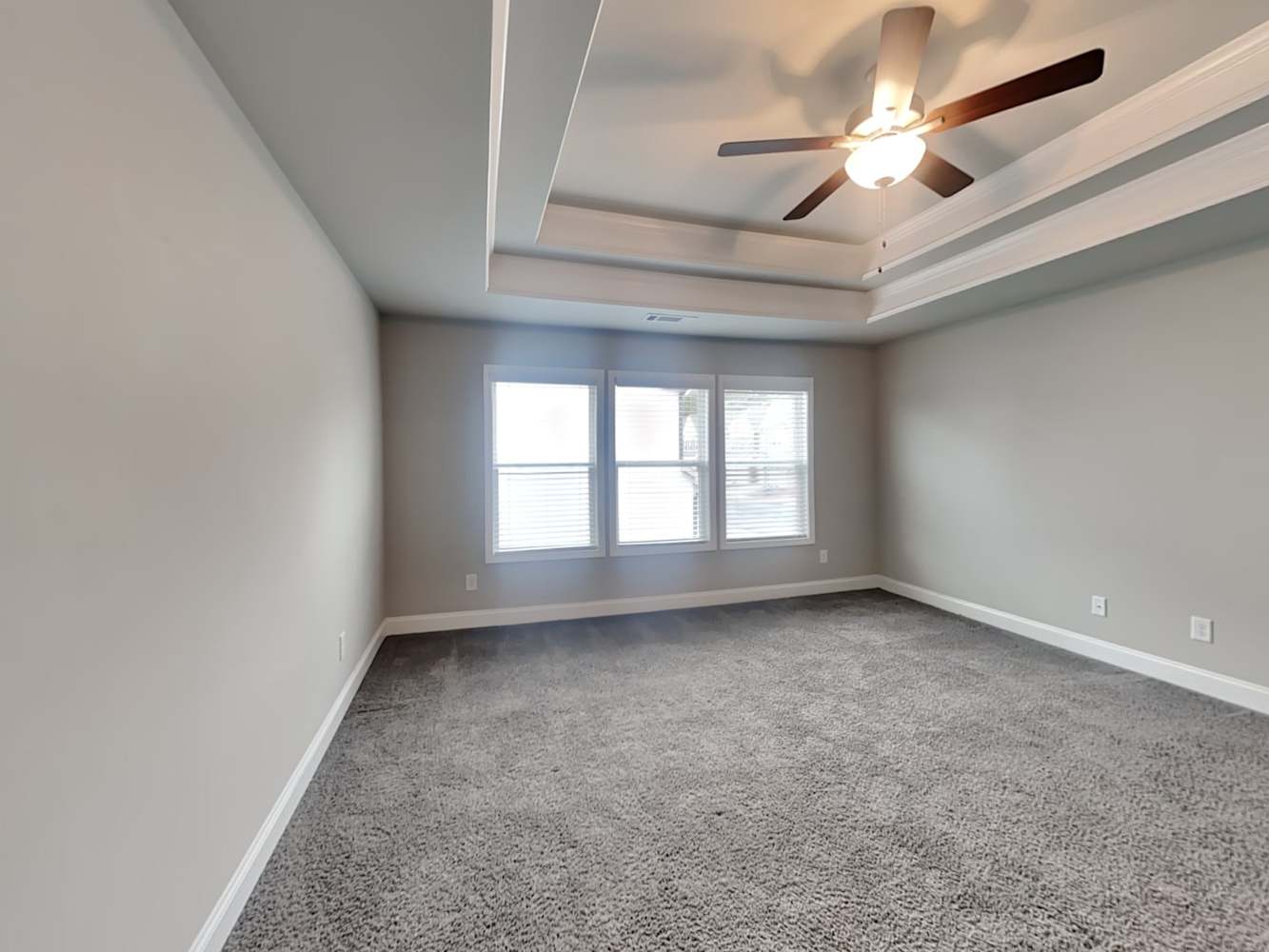 901 Alder Grove Trce, Loganville photo 10