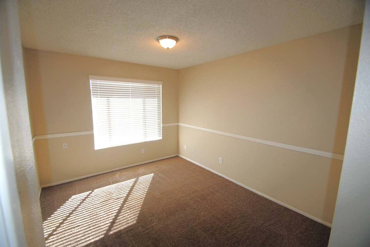 902 W Westchester Ave, Tempe photo 6