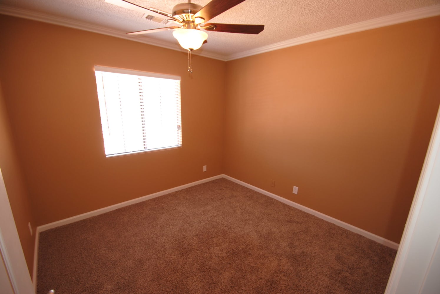 907 N Wedgewood Dr, Mesa photo 7