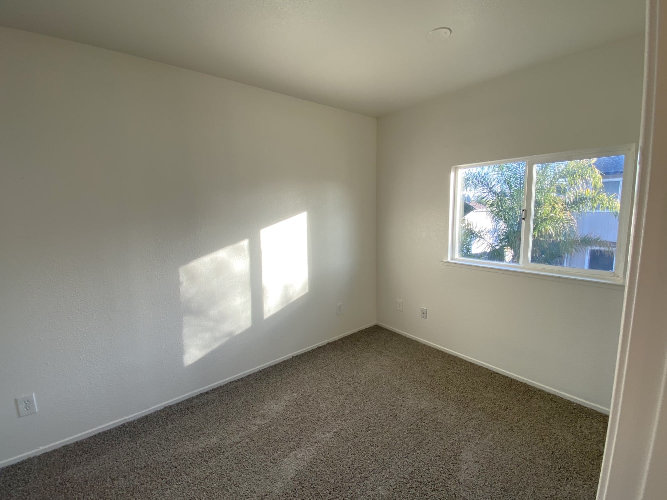 907 Whitney Ave, Suisun City photo 7