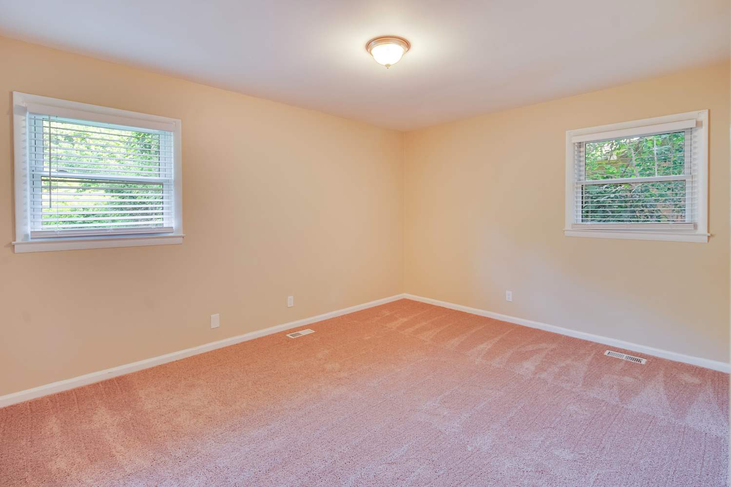 909 Friendly Pl, Charlotte photo 18