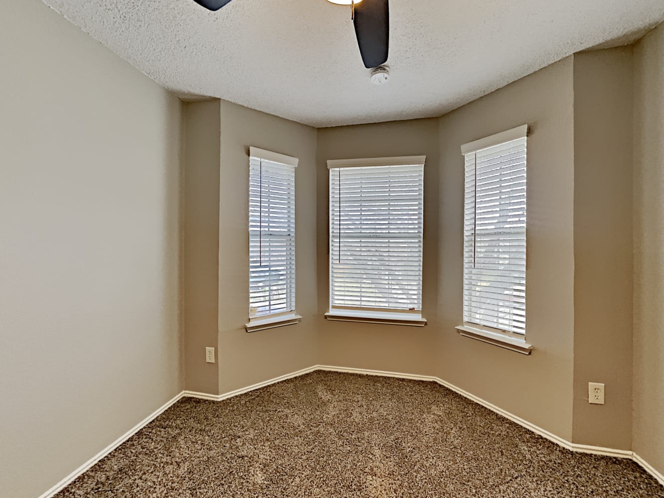 9218 Oak Hollow Dr, Rowlett photo 15