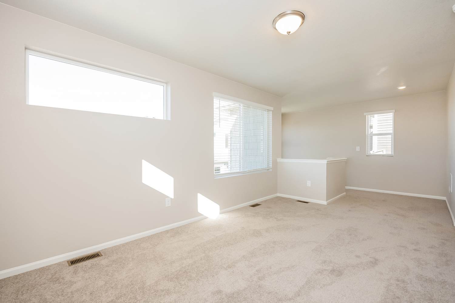 9302 Oro City Loop, Colorado Springs photo 8
