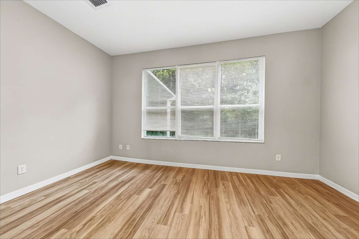 9320 Black Thorn Loop, Land O Lakes photo 10
