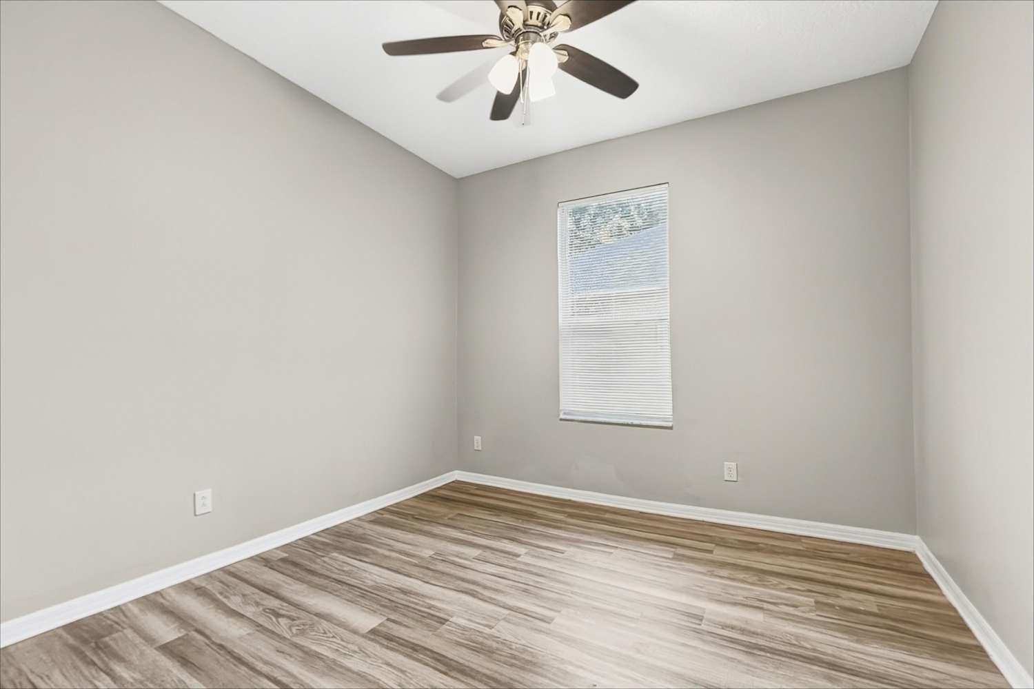 9320 Black Thorn Loop, Land O Lakes photo 14