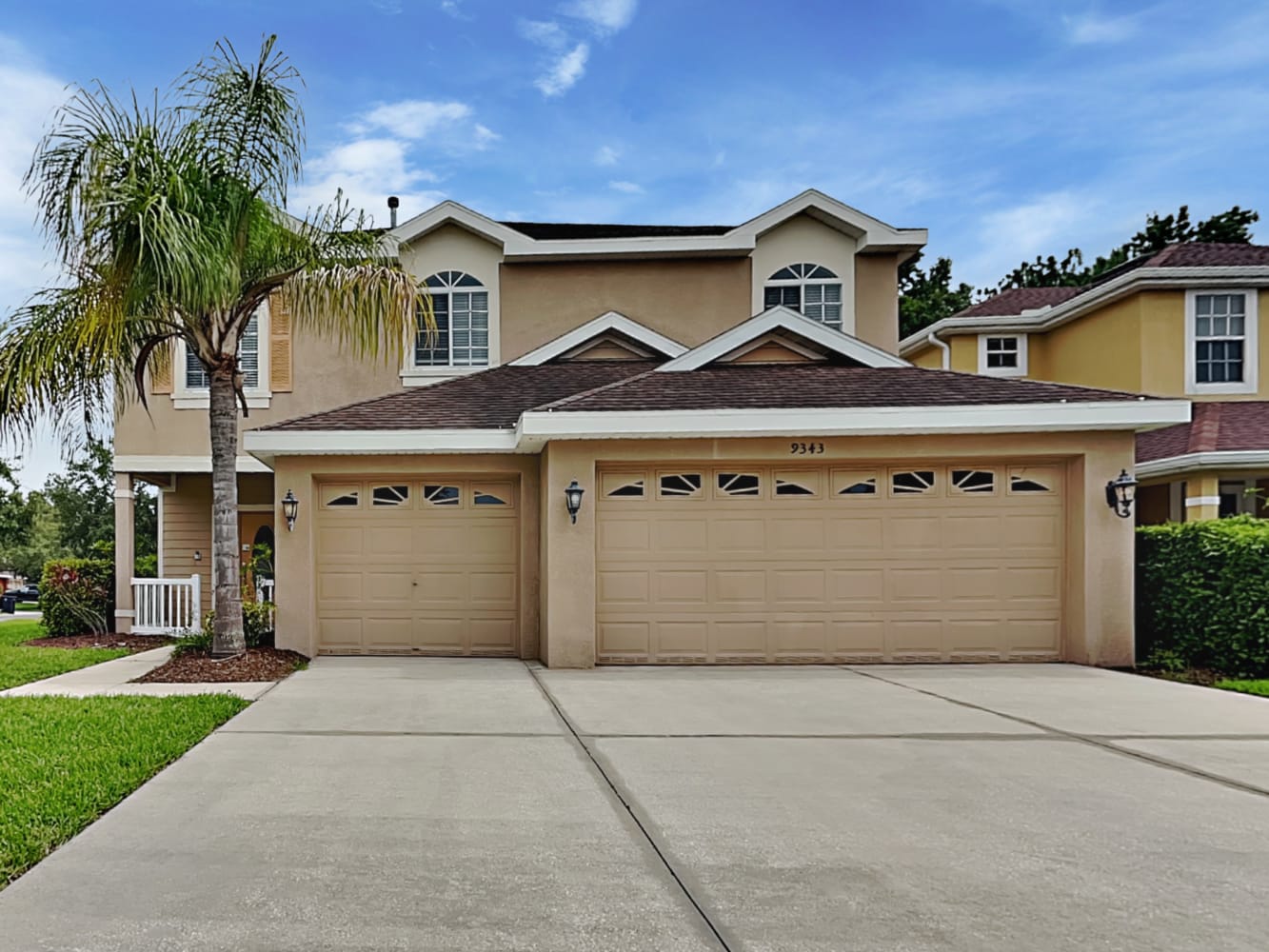 9343 Mandrake Ct, Tampa photo 1