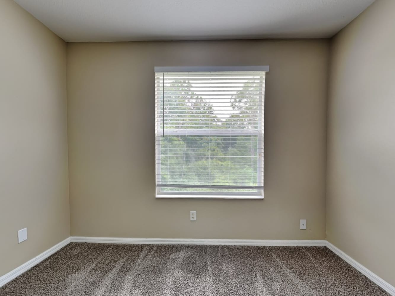 9343 Mandrake Ct, Tampa photo 14