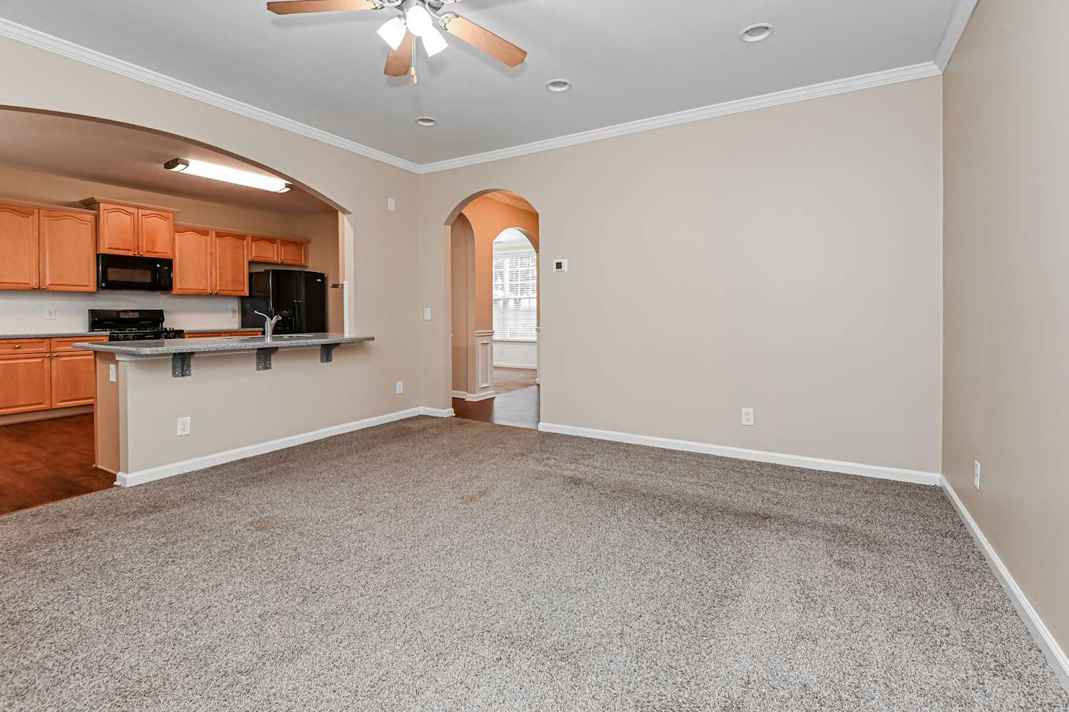940 Island Bluff Ln, Buford photo 8