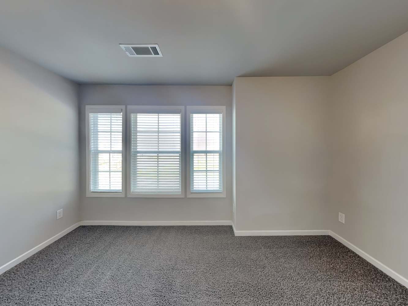 941 Alder Grove Trce, Loganville photo 11